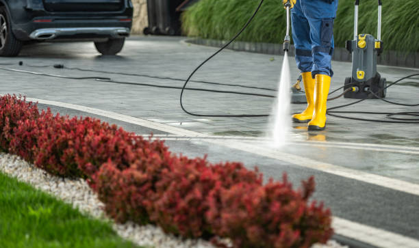 Best Dumpster Area Cleaning  in Saranap, CA